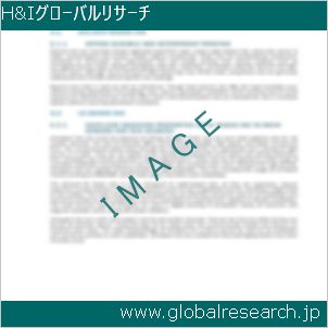 グローバルリサーチ調査レポートのイメージ